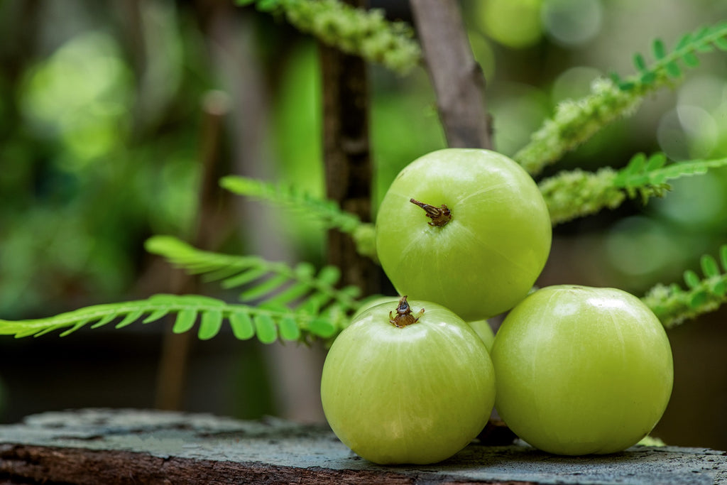 Amla: Benefits, Uses For Hair and Health Conditions