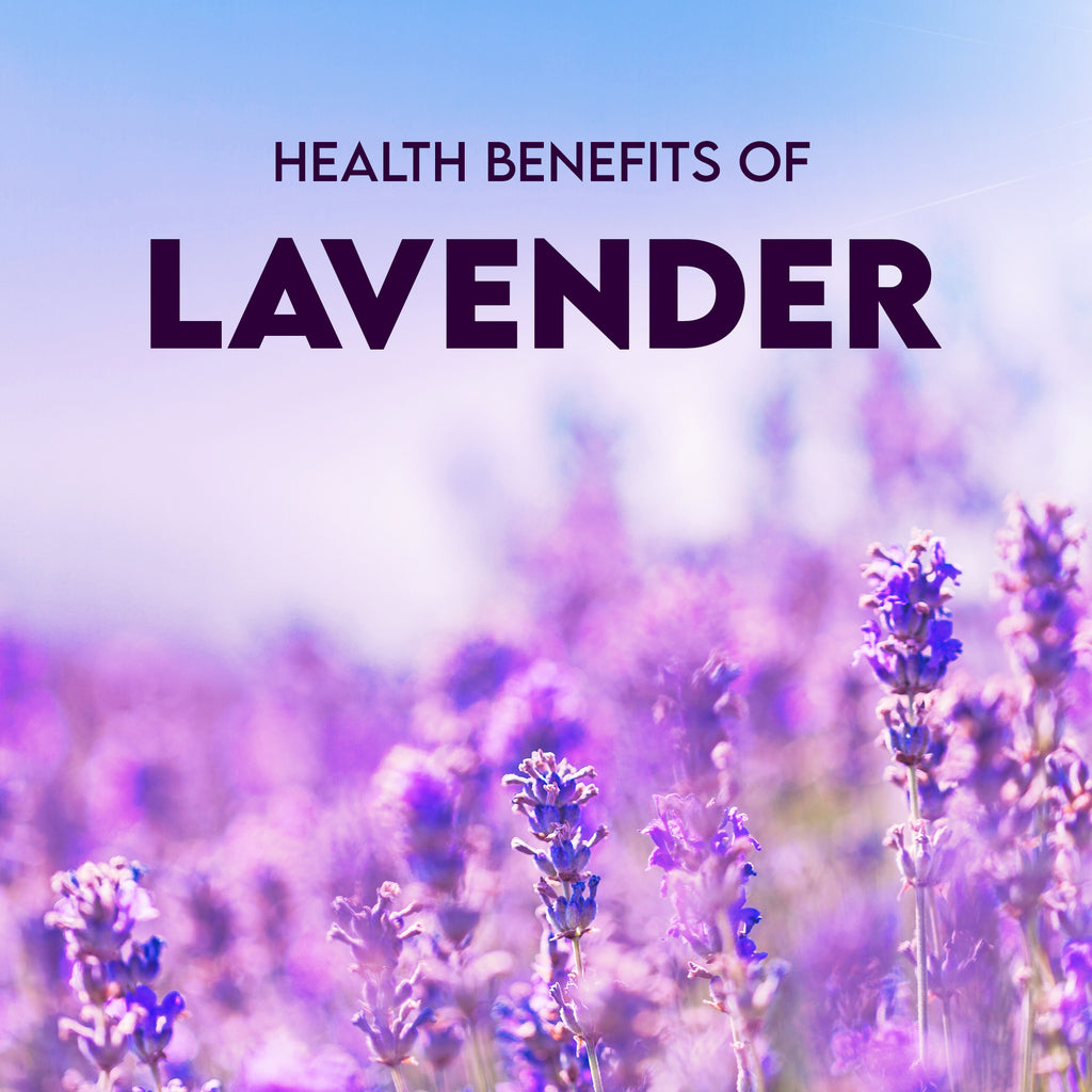 Natural Health Benefits and Healing Uses of Lavender